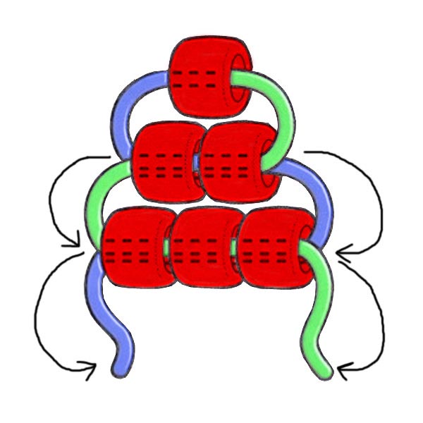 Frankenstein pony bead keychain instructions showing how two cords cross through each row of beads.